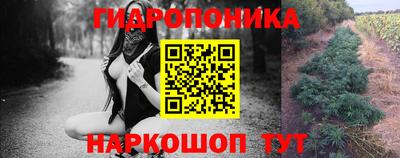 трава Камышлов